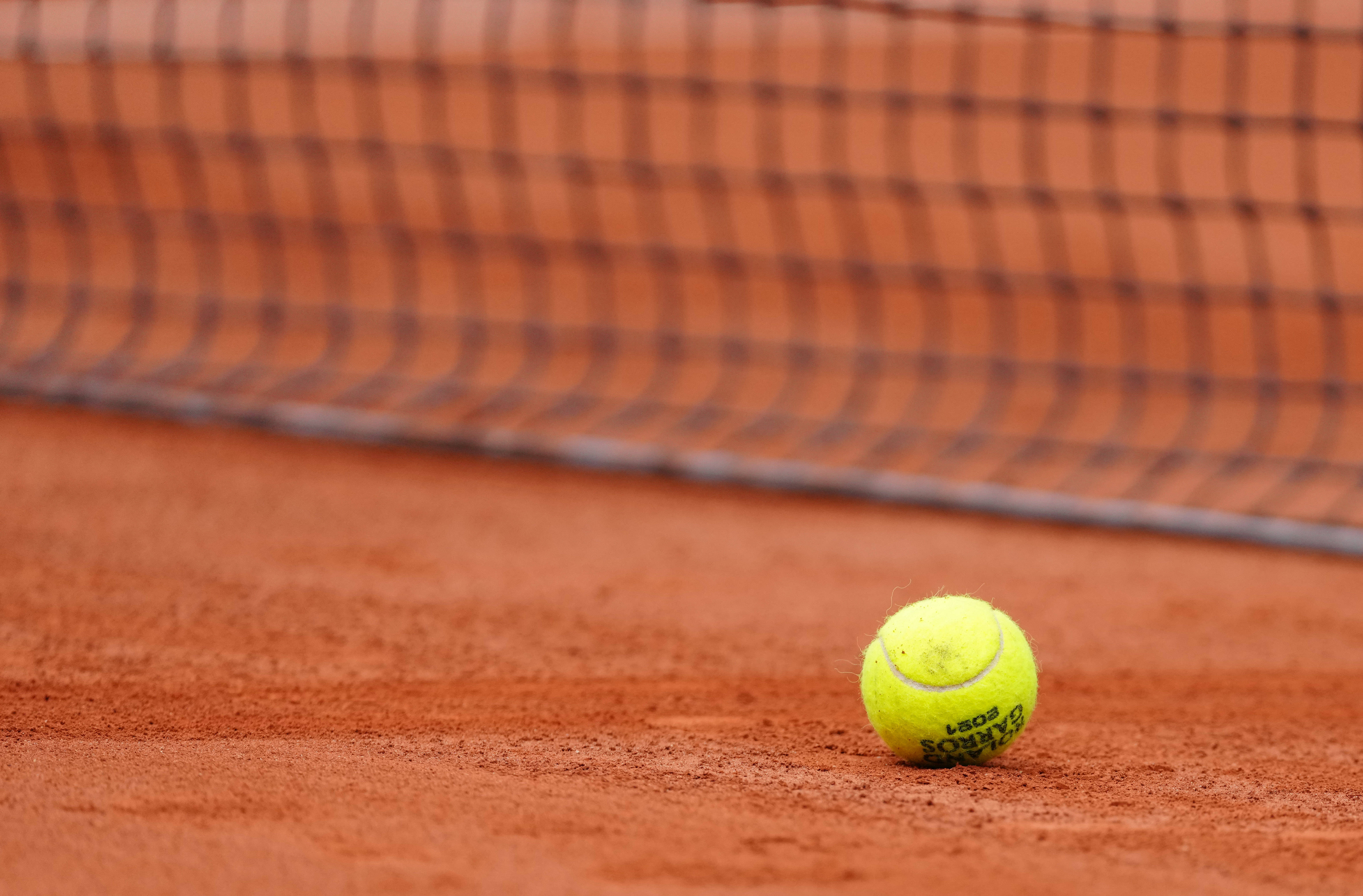 美国女篮的 美国女篮的