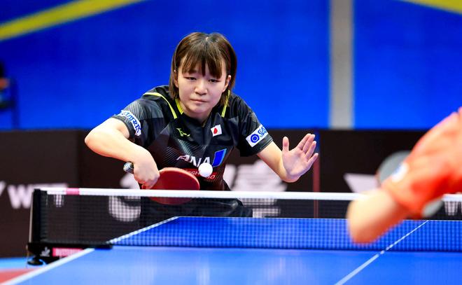 成鲜明对比 成鲜明对比